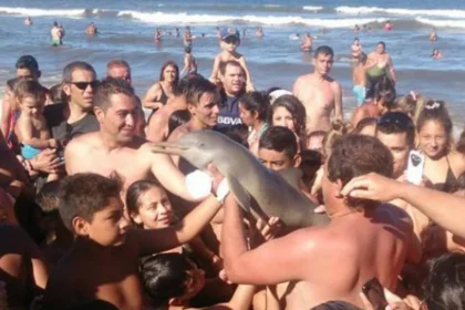 turistas sacan delfin playa santa teresita