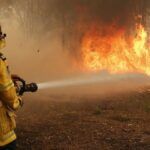 Alerta por incendios forestales ante las altas temperaturas en la provincia de Buenos Aires