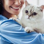 ¿Preferís gatos? Descubrí qué dice tu elección sobre tu personalidad y vínculos