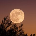 Luna llena de febrero 2026: ¿Cuándo es la “Luna de Nieve” y cómo verla en Argentina?