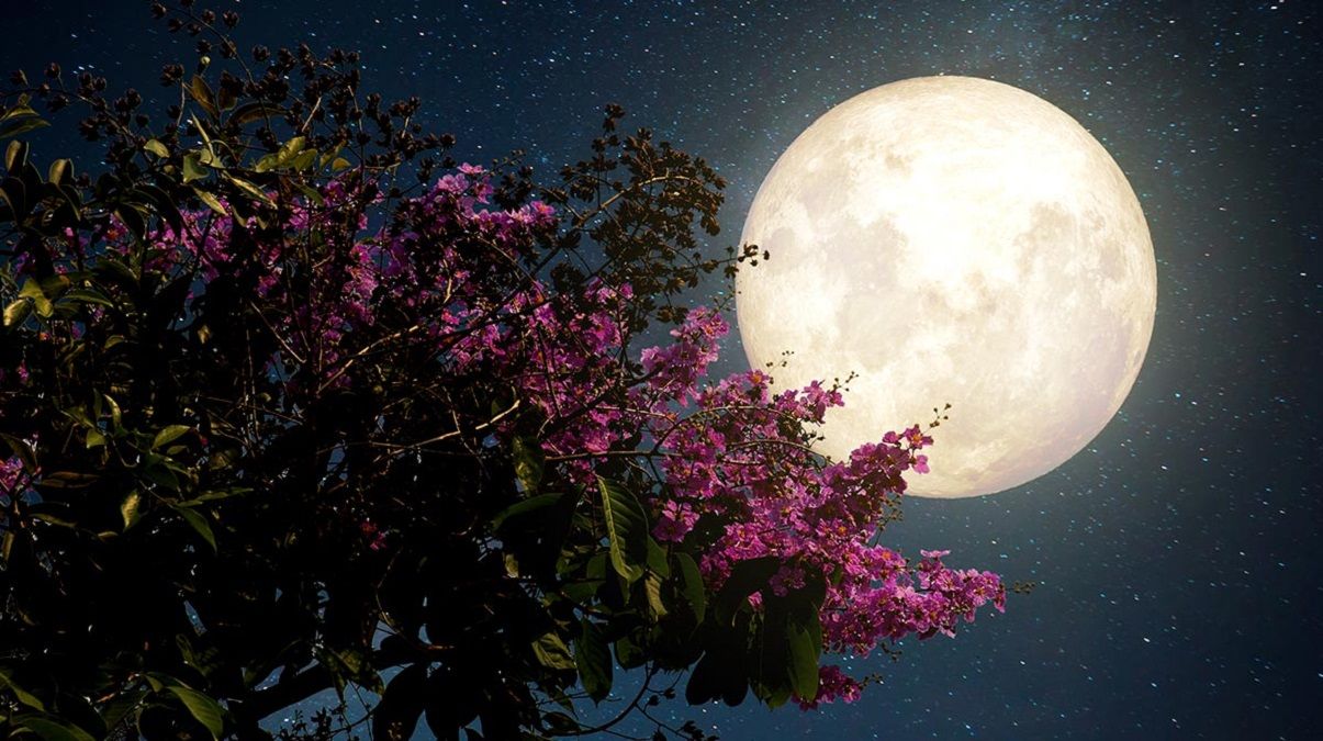 luna de hoy calendario lunar