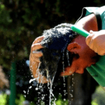 El calor será protagonista en el inicio de la primera semana de febrero