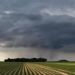 Frío intenso y alertas en el país: el SMN avisa sobre riesgos climáticos para el fin de semana