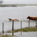 Alertan por crisis hídrica en Provincia de Buenos Aires: un millón de hectáreas anegadas en el campo