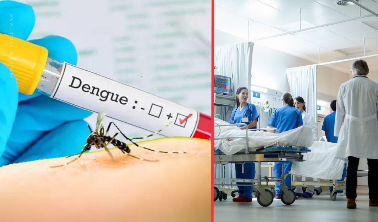 dengue provincia