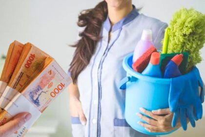 empleada domestica escala salarial 2025
