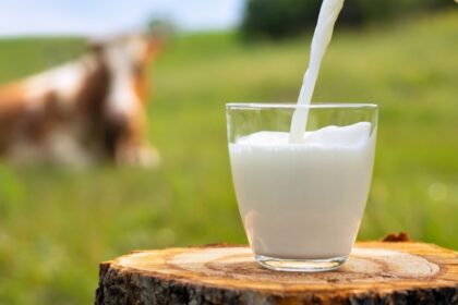 leche dia mundial