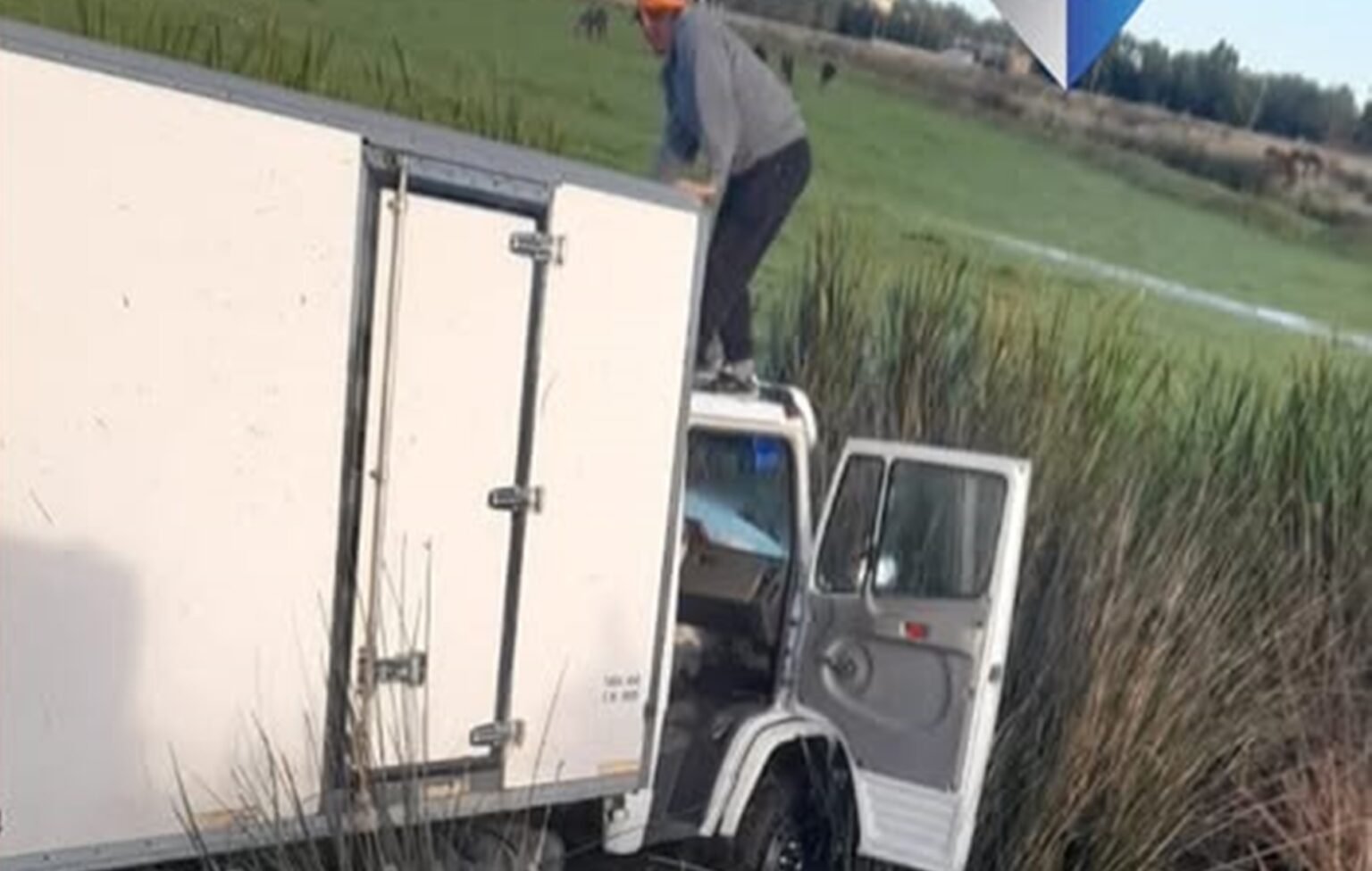 camion piran