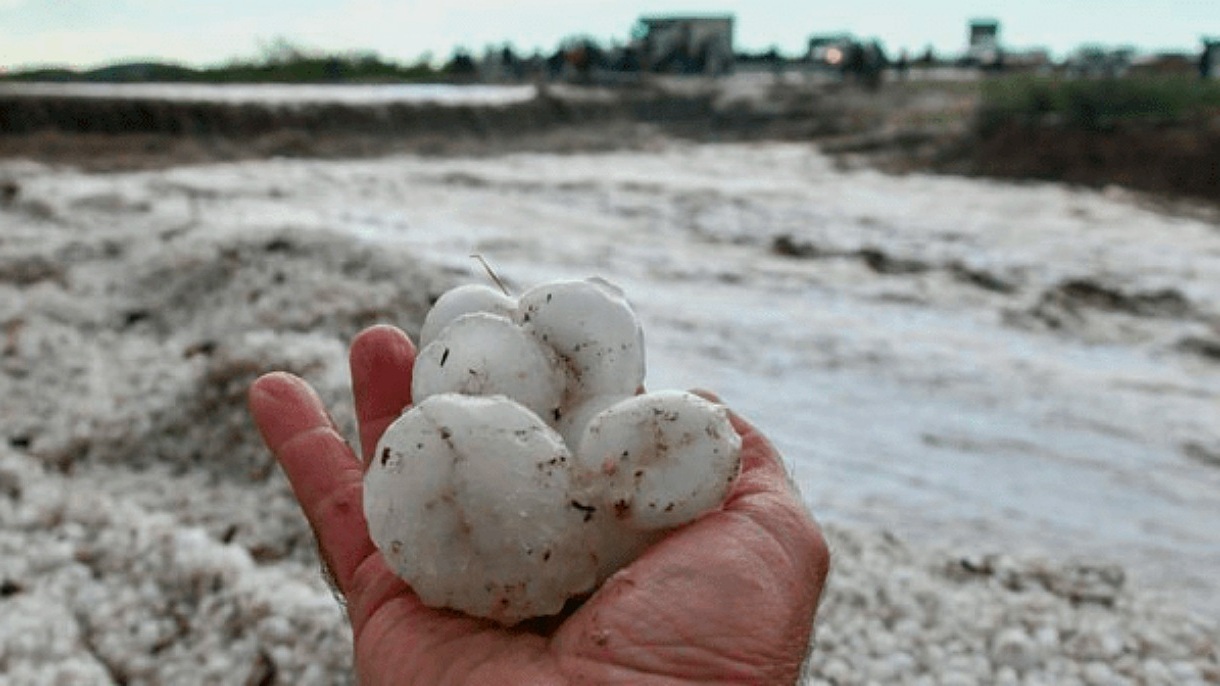 Granizoo