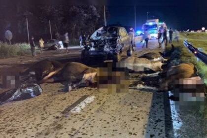 accidente cañuelas 1
