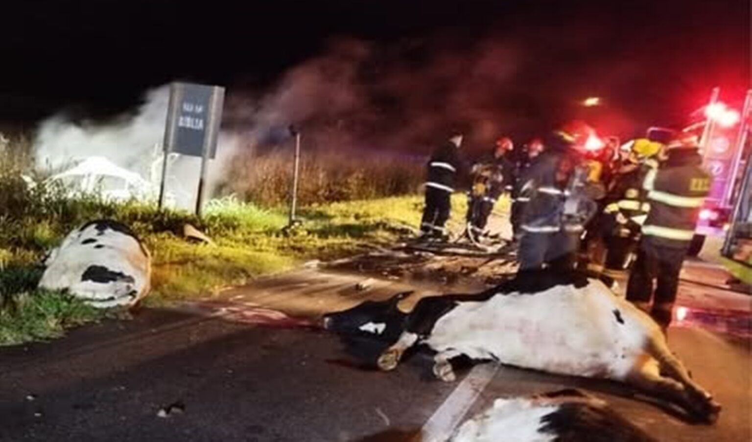 accidente vacas ruta 41