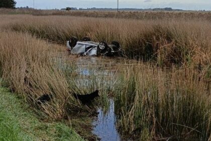 IMG 20250522 083730 (1335 x 677 píxel)