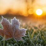 ¿Por qué hace más frío cuando sale el sol? La ciencia detrás del fenómeno