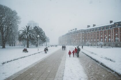 IMG 20250627 224602 (1200 x 800 píxel)