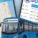 Mi Cole, la nueva app de La Costa para seguir colectivos en tiempo real