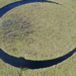 Una isla en el Delta que gira sola desata misterio y curiosidad en la Provincia de Buenos Aires