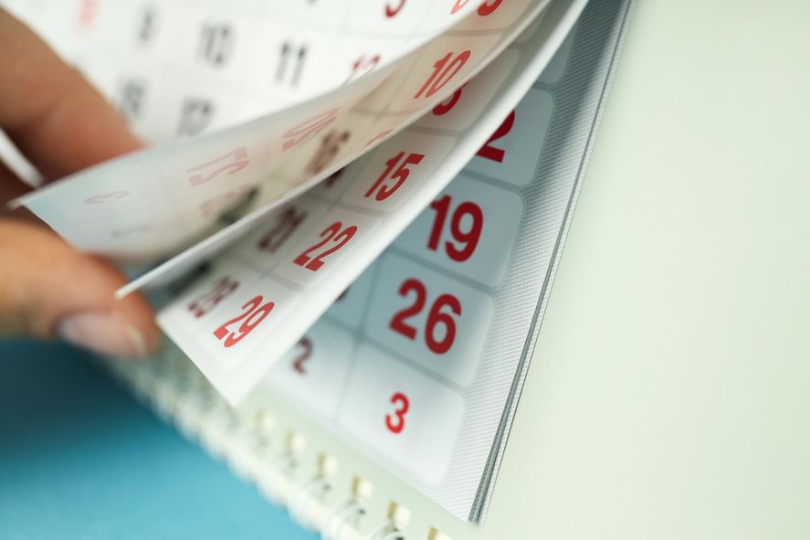 Feriados de junio 2025: todo lo que hay que saber para el mes largo