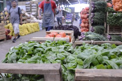 La Plata renueva precios en el Mercado Regional y promete un nuevo espacio fijo para comprar