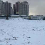 Nevadas históricas en la provincia de Buenos Aires: el sur bonaerense vuelve a experimentar un invierno blanco