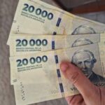 ANSES: Cómo y cuándo cobrarás las asignaciones y el Plan de Desempleo