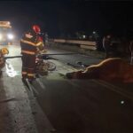 Tremendo accidente en Ruta 41: una moto chocó contra una vaca y un auto impactó con un toro