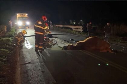 ACCIDENTE 41