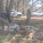 Denuncian rituales macabros en Parque Pereyra Iraola: 15 animales hallados sin vida