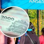 ANSES actualizó los haberes de las Pensiones No Contributivas en septiembre 2025 ¿Cuánto cobrarán?