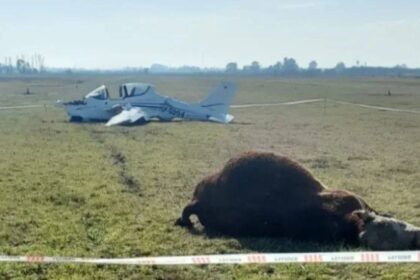 avion toro