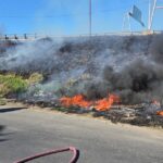 Incendios en el Delta del Paraná: investigan maniobras intencionales detrás de los focos