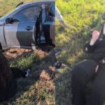 La diputada libertaria Rocío Bonacci sufrió un accidente en la autopista