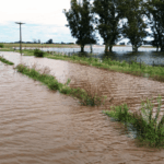 Las inundaciones arrasan 700.000 hectáreas en la Provincia de Buenos Aires