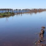 Intensas lluvias amplifican crisis agrícola en Buenos Aires y afectan caminos rurales