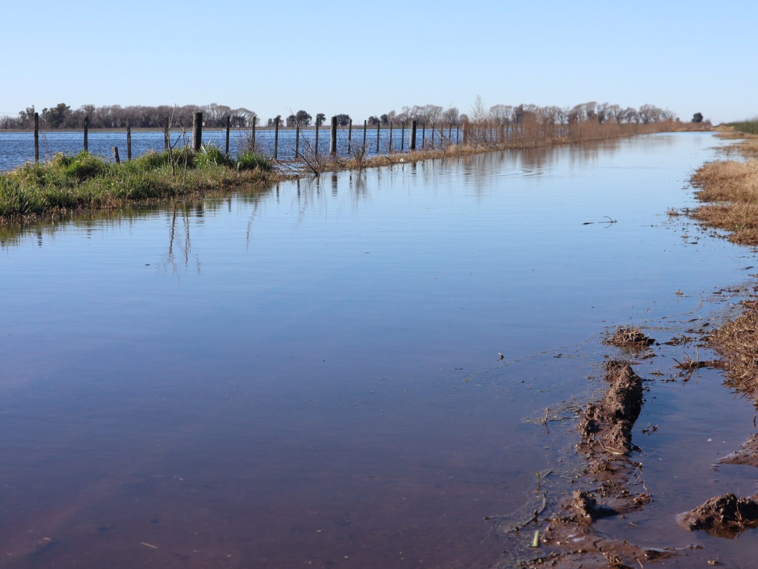 Intensas lluvias amplifican crisis agrícola en Buenos Aires y afectan caminos rurales