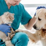 La Costa celebra el Día del Veterinario y impulsa la vacunación gratuita de mascotas