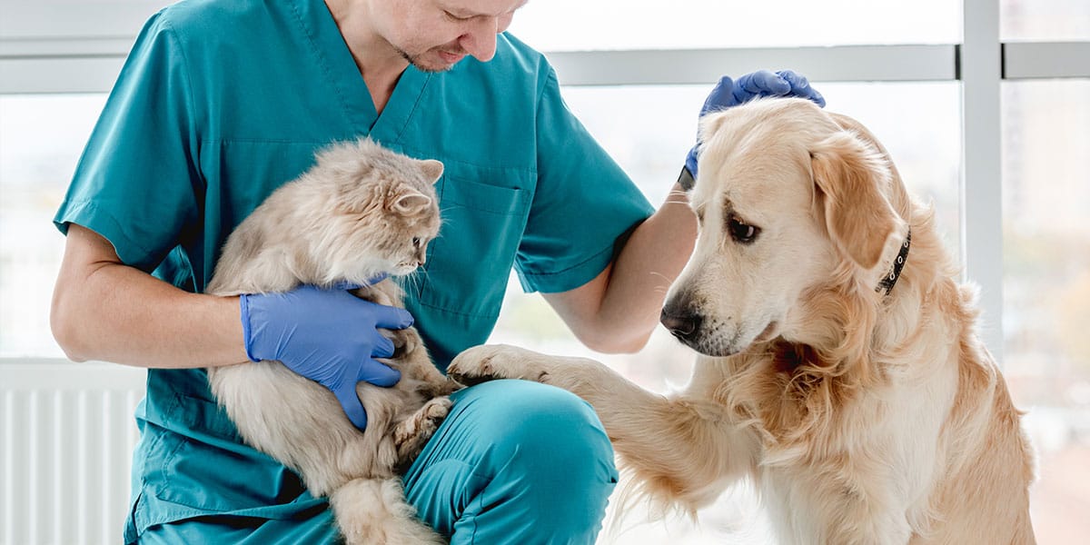 La Costa celebra el Día del Veterinario y impulsa la vacunación gratuita de mascotas