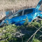 Carpincho provoca vuelco en la ruta 51 y deja tres personas heridas