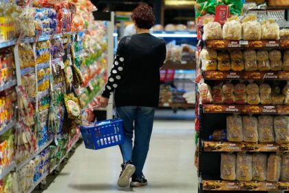 Inflación de julio fue del 1,9% y acumula 17,3% en los primeros siete meses del año