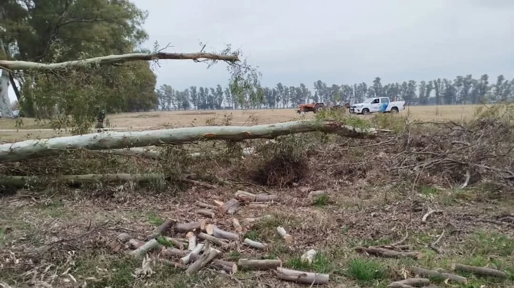 Tragedia en Suipacha: un hombre de 56 años murió al caerle un árbol mientras trabajaba