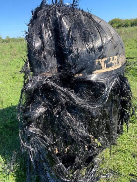 FB IMG 1758903294935