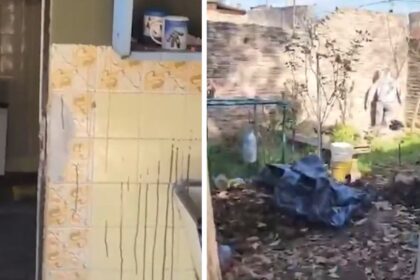 Noticia 2025 20250925 125446 0000