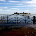 ARCA otorga alivio impositivo a productores bonaerenses afectados por inundaciones