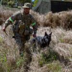Heroico rescate en Chaco: un perro y su guía salvaron a un paracaidista
