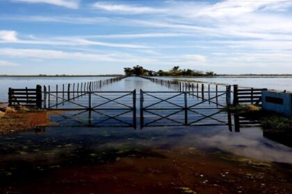 Emergencia agropecuaria: el Gobierno declaró desastre por inundaciones en Buenos Aires