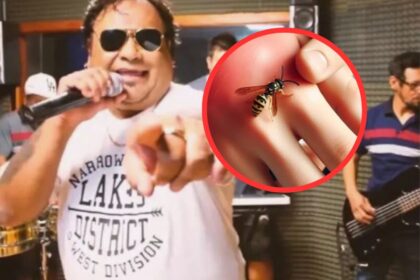 Diseño sin título 20251117 234133 0000