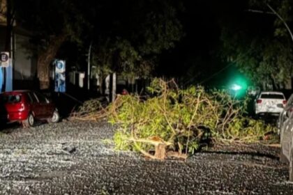 IMG 20251121 075033 (1280 x 801 píxel)