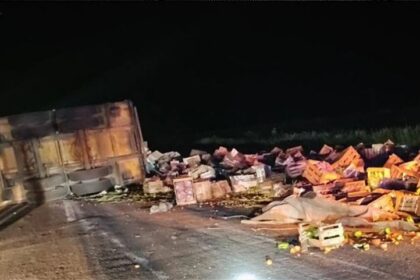 vuelco camion ruta 2