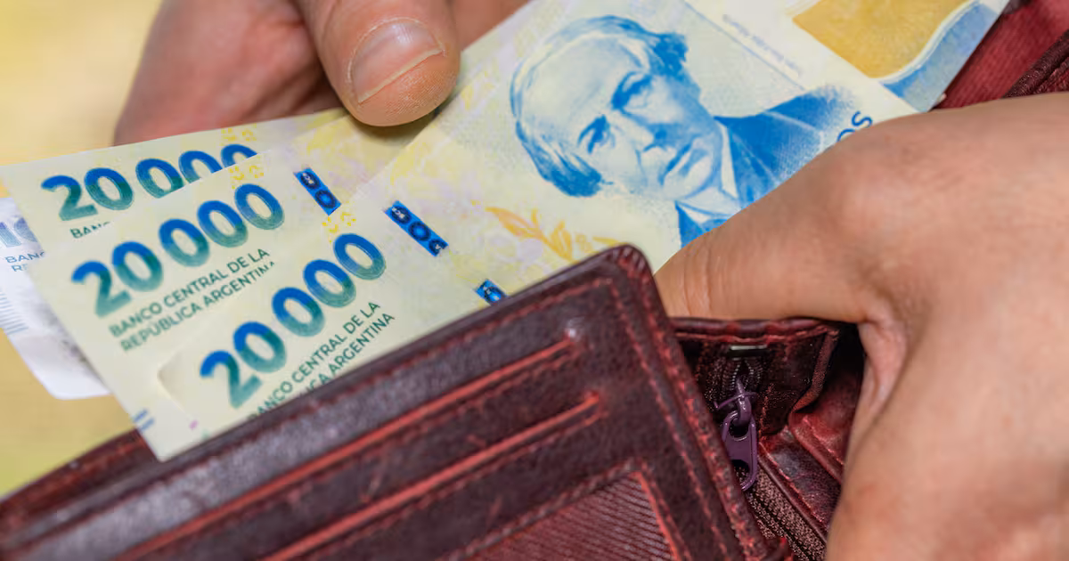 Nuevo Salario Mínimo Vital y Móvil en febrero 2026: ¿Cuál es su impacto en planes sociales y jubilaciones?