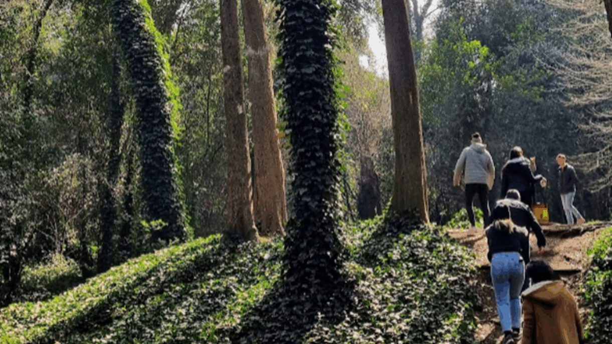 el bosque encantado belgrano