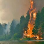 Bomberos de la provincia de Buenos Aires se suman a la lucha contra incendios en Chubut